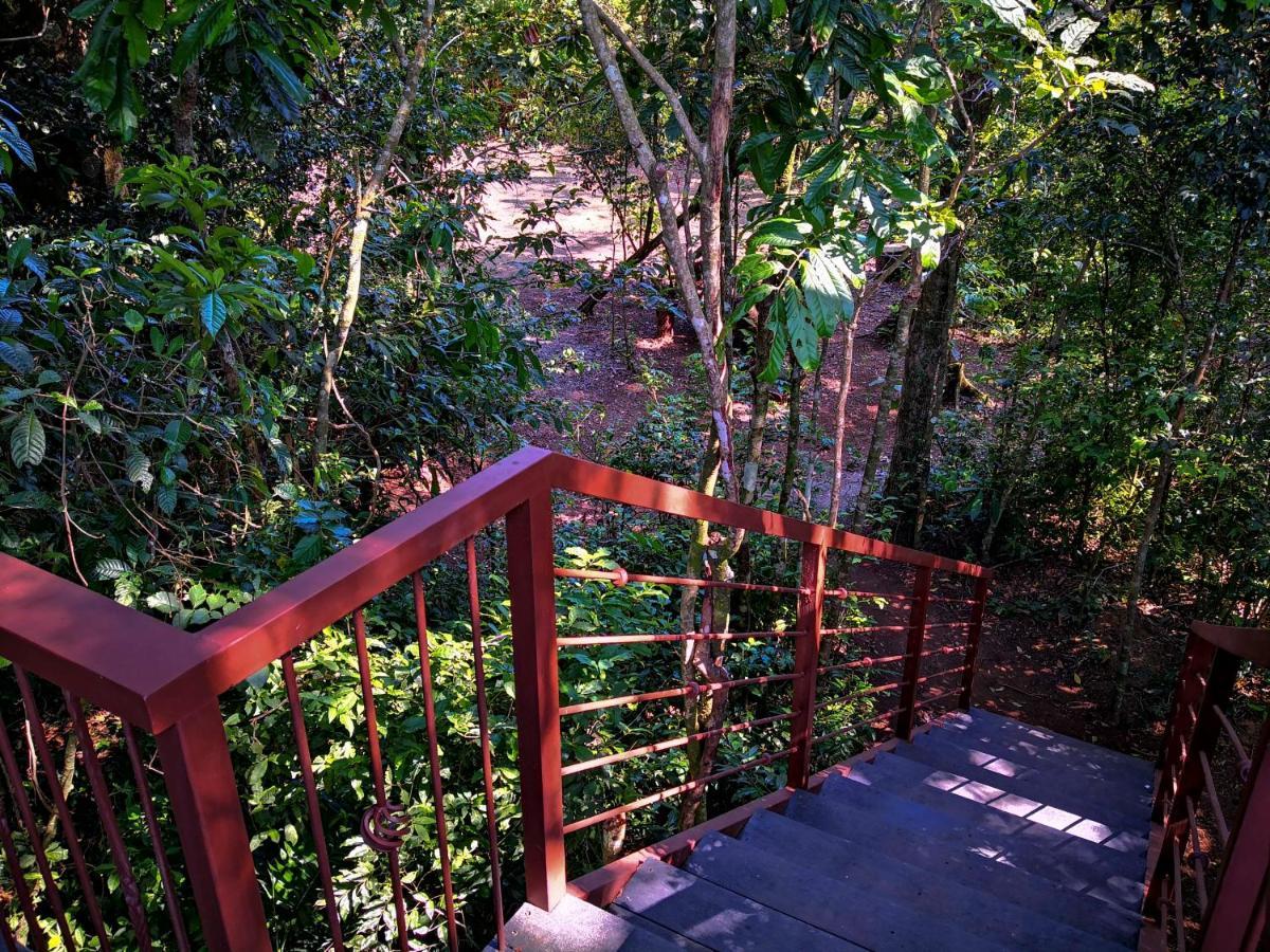 Lodge Quality Monteverde
